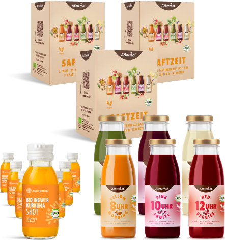 Saftzeit & Ingwer Kurkuma Shot Fastenpaket
