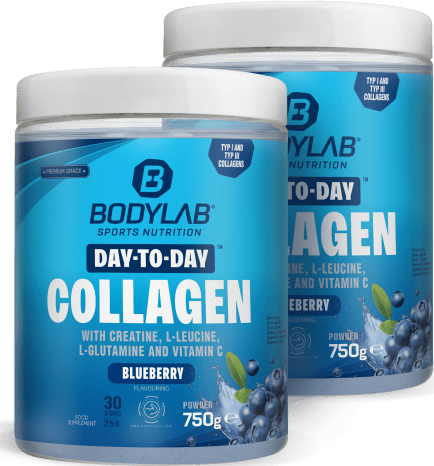 2 x Day to Day Collagen (2 x 750g)
