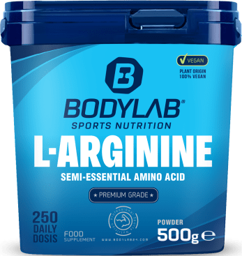 Arginine Powder (500g)