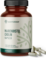 Mariendistel Cholin Kapseln (120 Kapseln)
