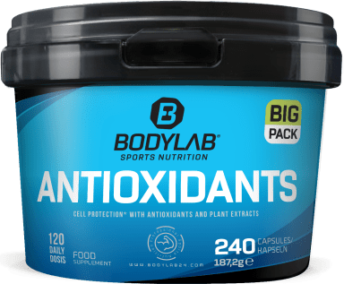 BIG Pack Antioxidants (240 Kapseln)