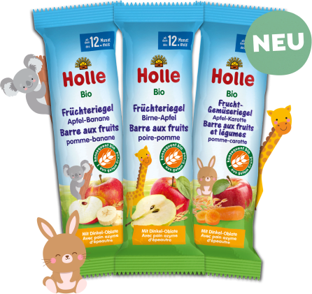 Bio-Früchteriegel/Frucht-Gemüseriegel Probierpack ab dem 12. Monat (6x25g)