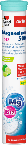 Magnesium 500 + B12 (15 Brausetabletten)