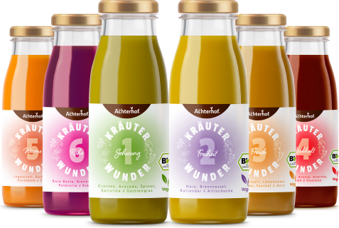 Kräuterwunder Bio Fastenkur 1 Tag (6 Flaschen)