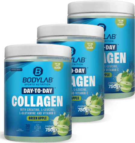 3 x Day to Day Collagen (3 x 750g)