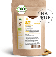 Ingwer Kapseln Bio Nachfüllpack (400 Kapseln)