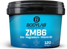 ZMB6 - Zinc - Magnesium - Vitamin B6 (120 Kapseln)