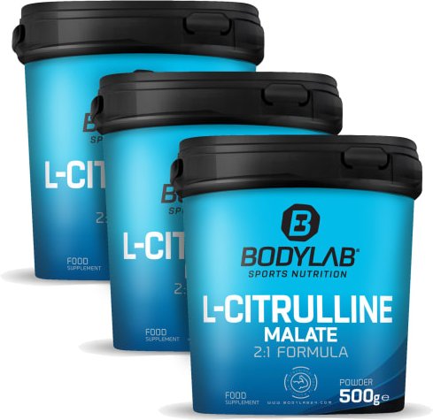 3 x L-Citrulline Malate (je 500g)