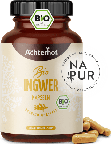 Ingwer Kapseln Bio (160 Kapseln)