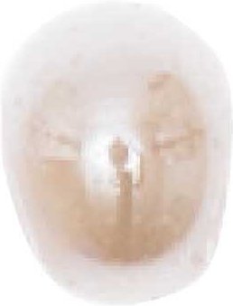 Rico Design Glasperlen perlmutt-weiß 6x5mm 30 Stück