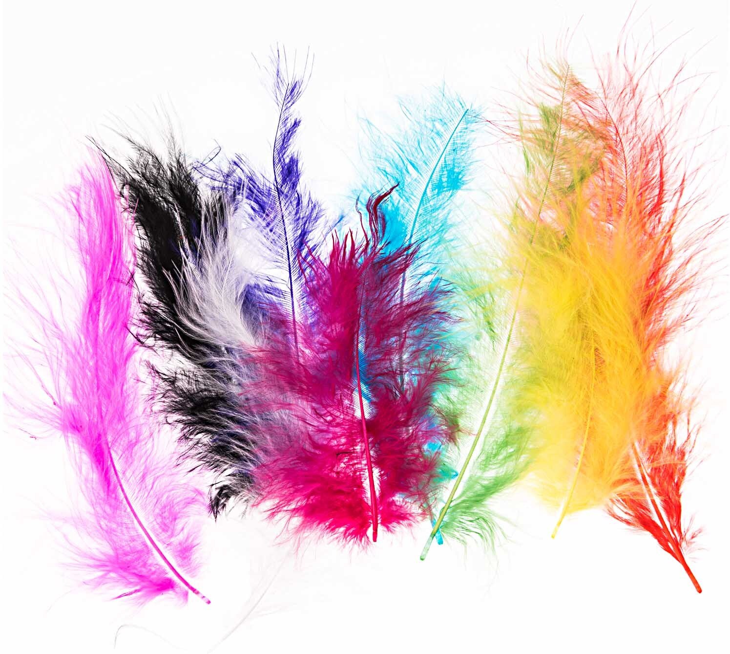 idee. Creativmarkt Dekofeder Mix 27 Stück