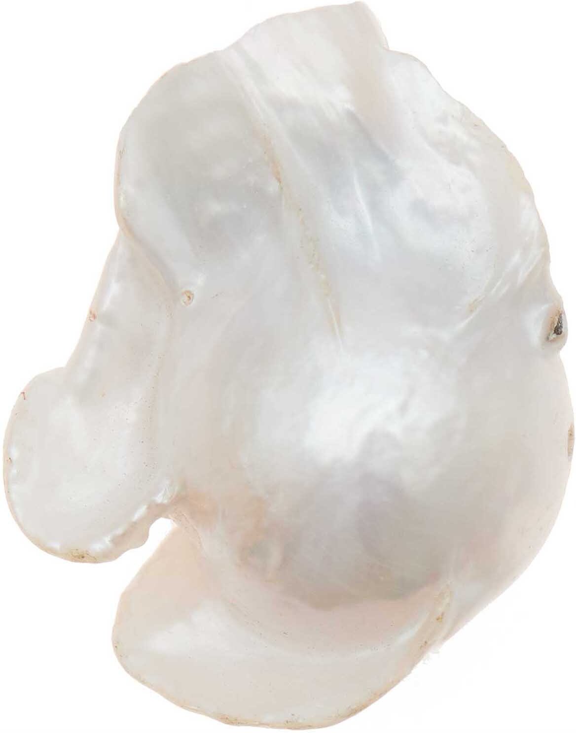 Rico Design itoshii Süßwasserperle natur barock 28x16x12mm 1 Stück