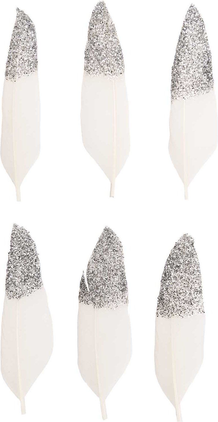 idee. Creativmarkt Federn ca. 8cm 6 Stück Weiß-Silber