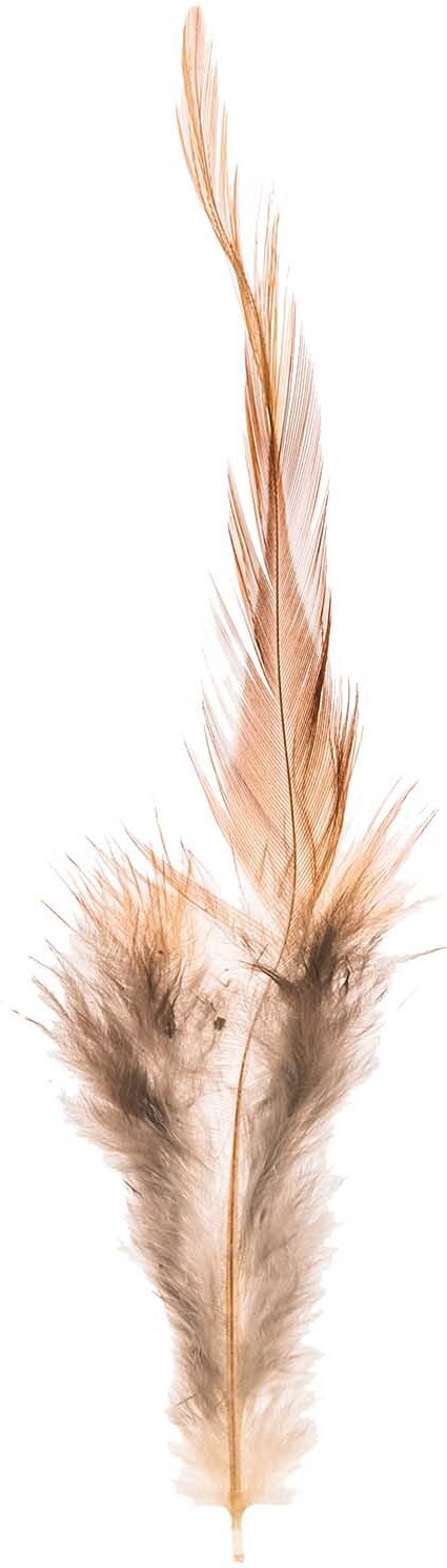 idee. Creativmarkt Hahnenfedern braun 3g
