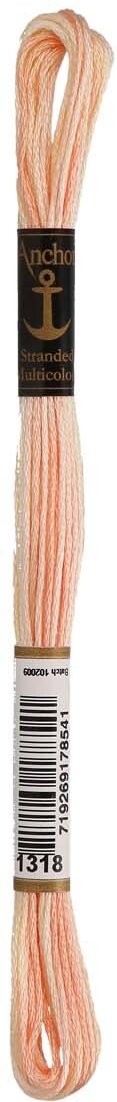 Anchor Coats Sticktwist multicolor 8m 01318 Apricot Melange