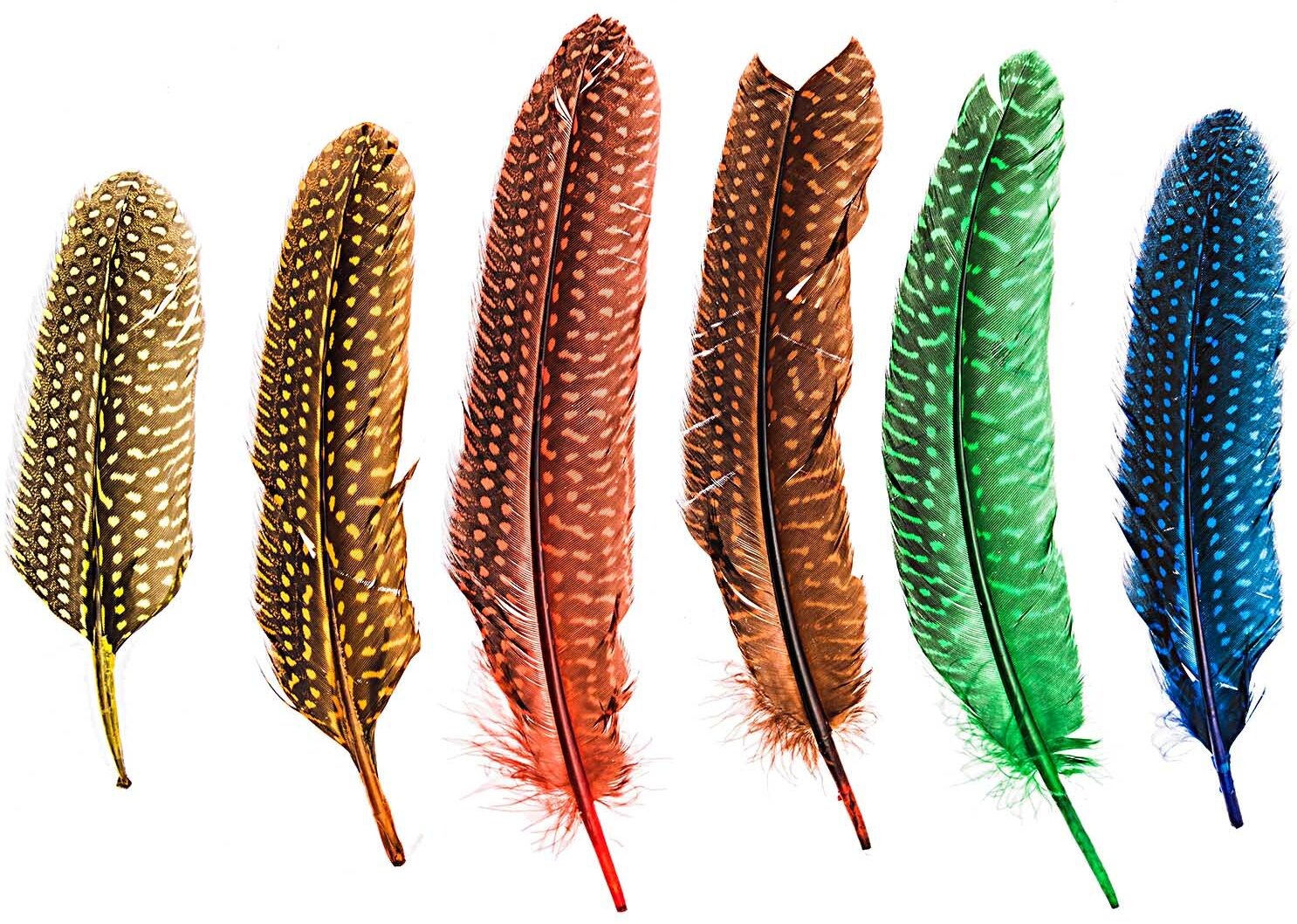 Tupfenfedern mehrfarbig 12 Stück