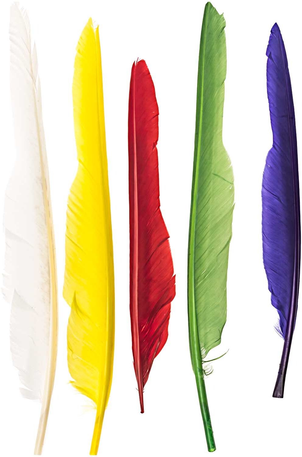 idee. Creativmarkt Federn Mix 10 Stück
