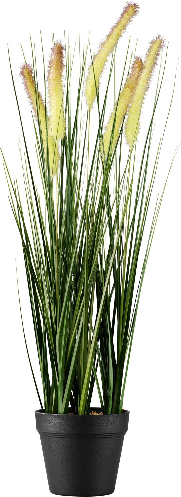 LIVARNO home Kunstpflanze im Topf (Gräser)