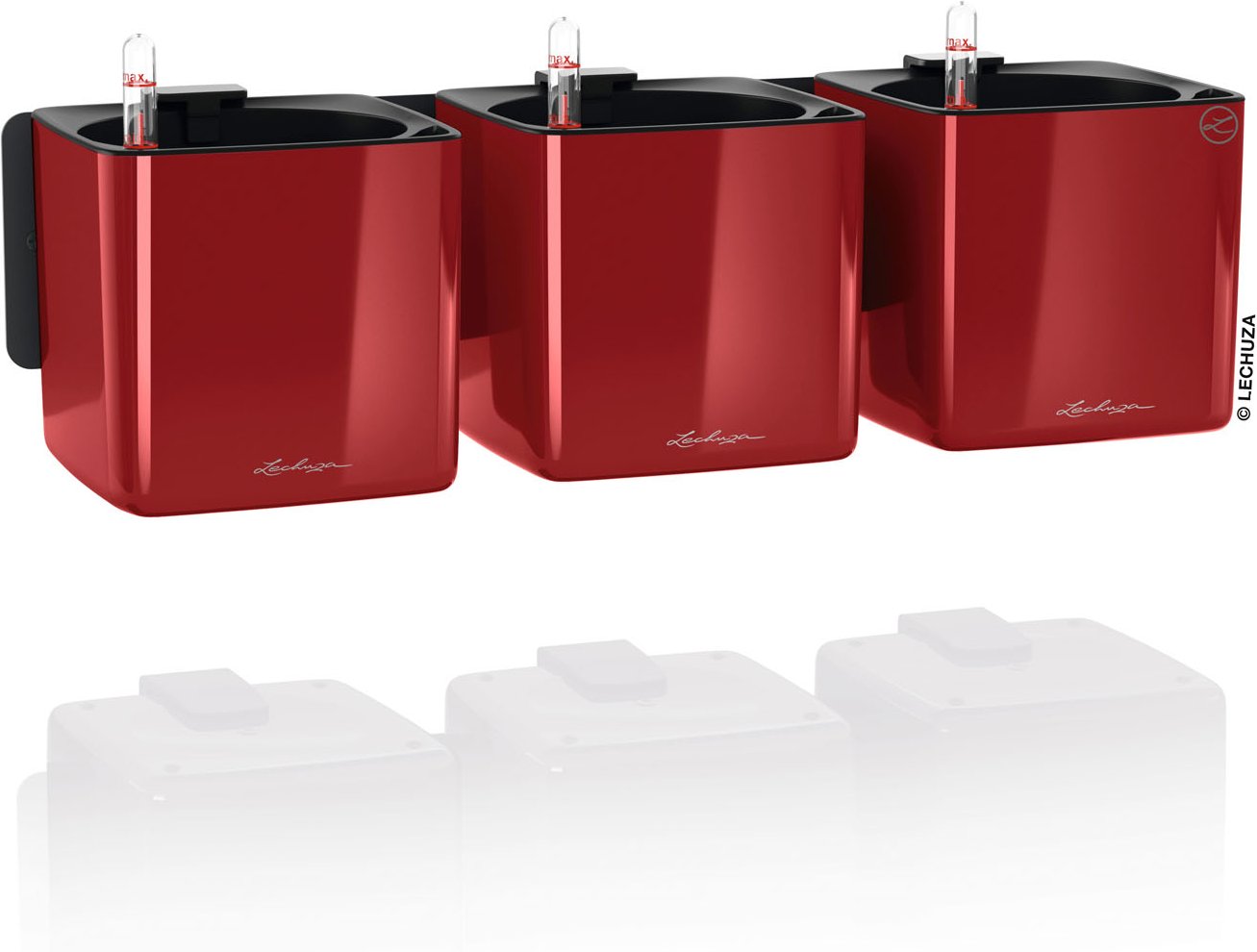 Lechuza Green Wall Home Kit (scarlet rot hochglanz)