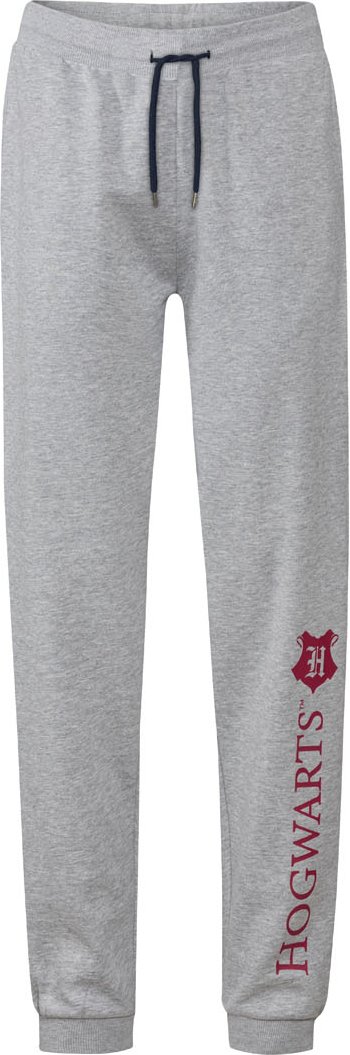 Herren Sweathose (Grau, M(48/50))
