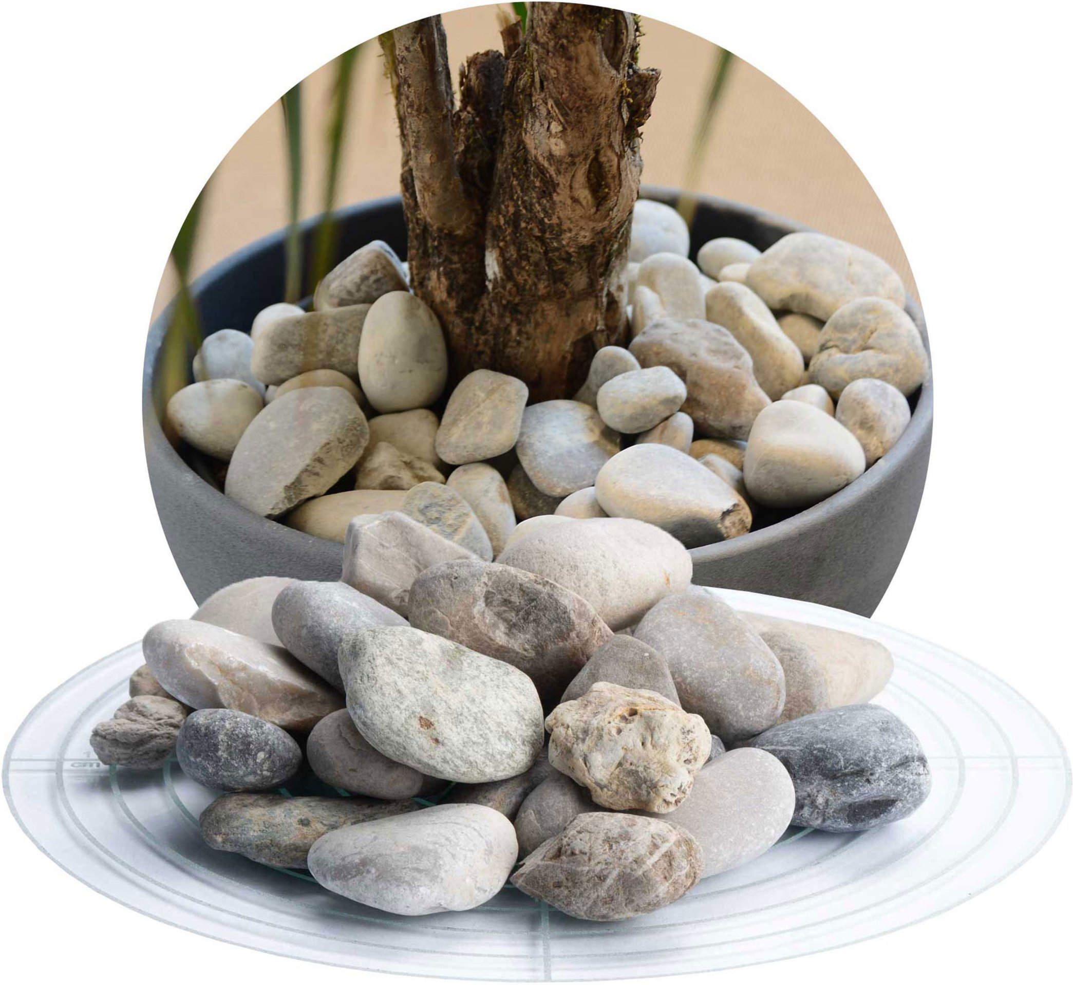 Schicker Mineral Isarkies Zierkies (16-32 mm, 25 kg, Bunt)