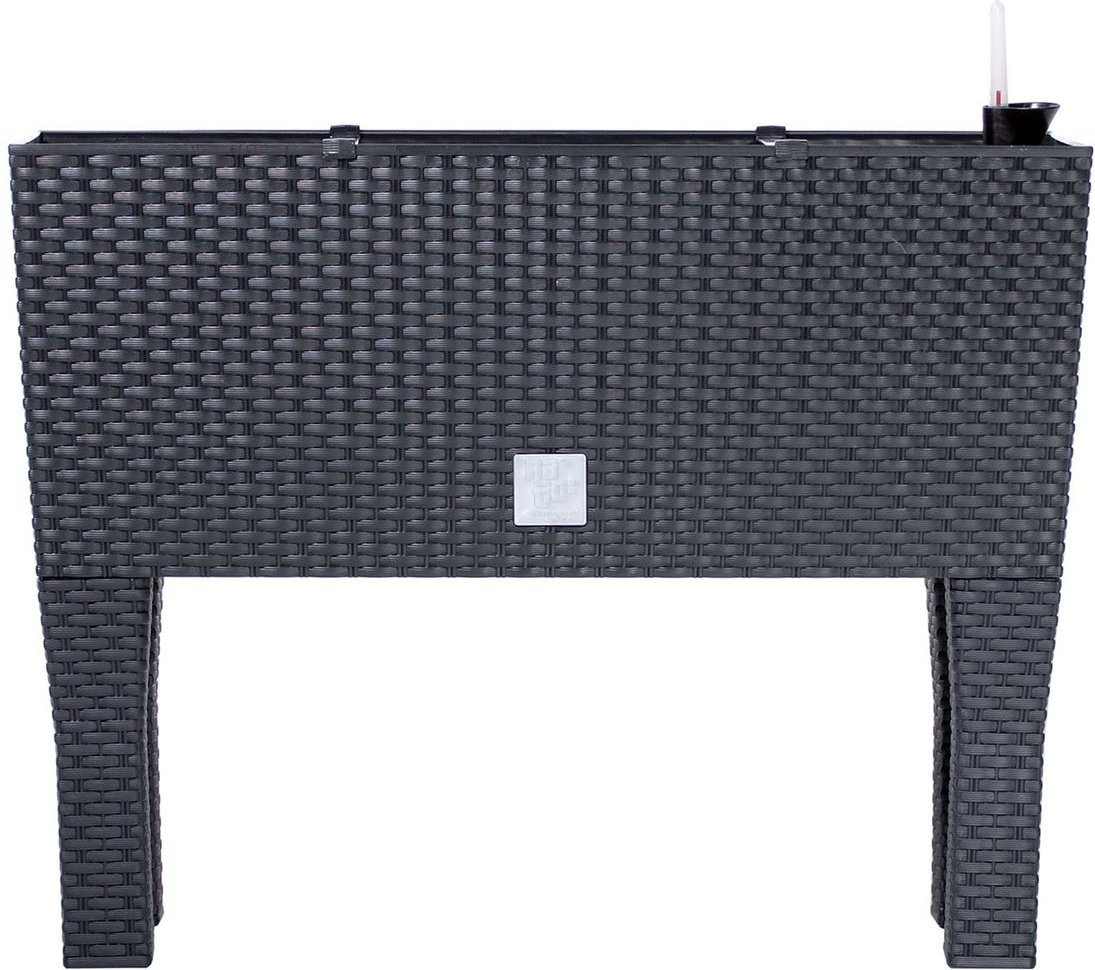 Prosperplast Blumenkasten mit Bewässerungseinsatz in Rattan-Optik "Rato Case High" (Anthrazit, B 60 x H 46 x T 25 cm)
