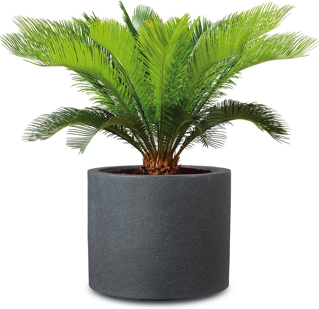 Scheurich Pflanzgefäß Riva (Schwarz Granit, Ø 50 cm)