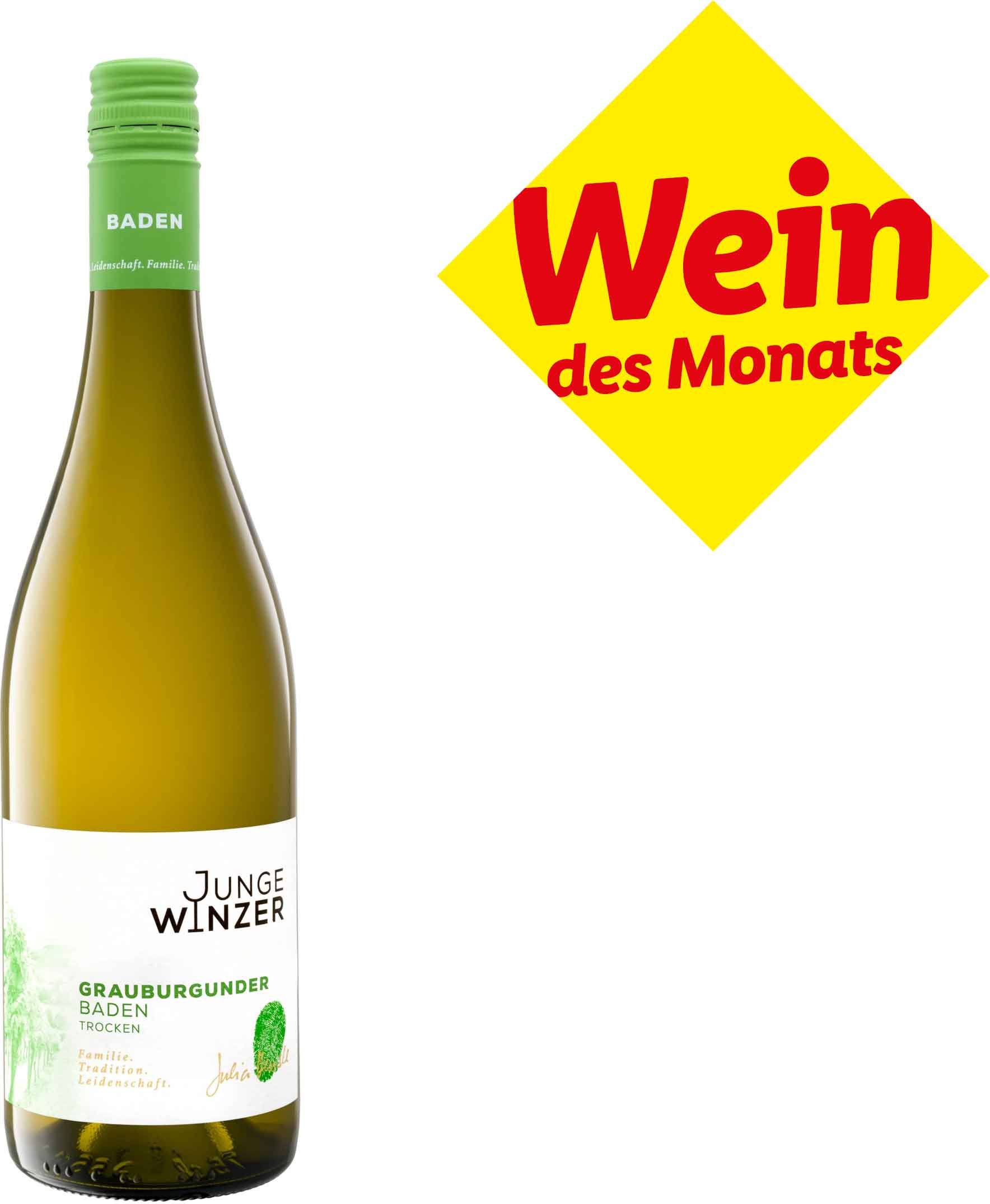 Junge Winzer Grauburgunder Baden QbA trocken, Weißwein 2023