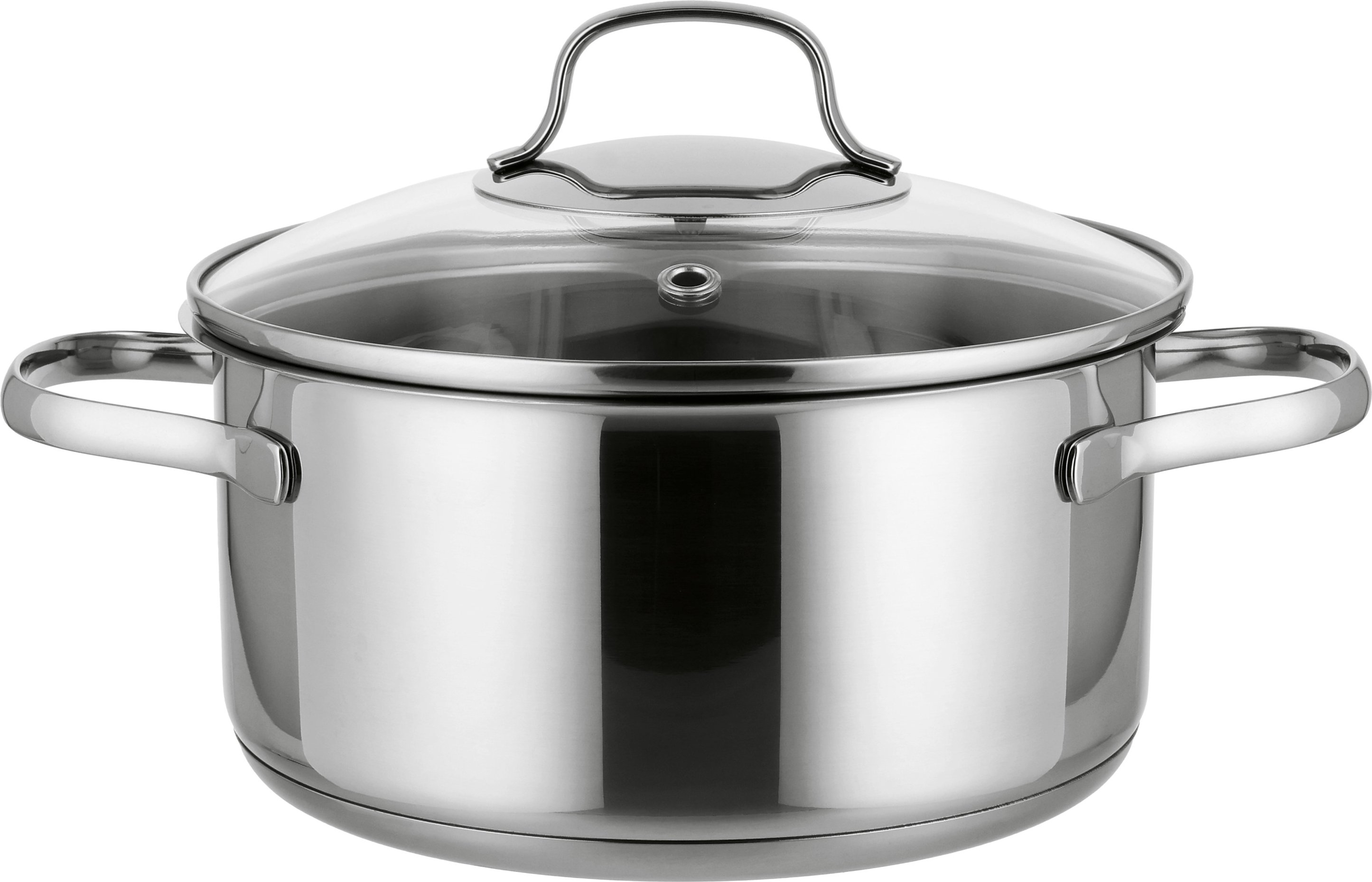 SILVERCREST® Premium-Edelstahltopf, Ø 20 cm