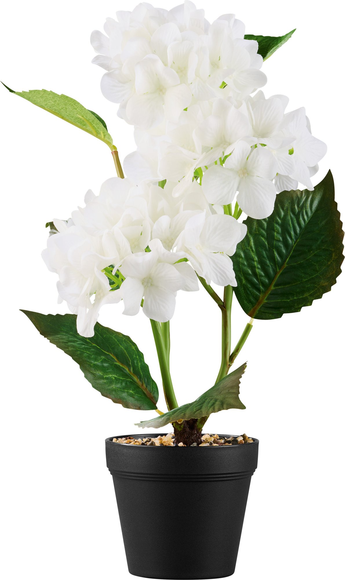 LIVARNO home Kunstpflanze im Topf (Hortensie)