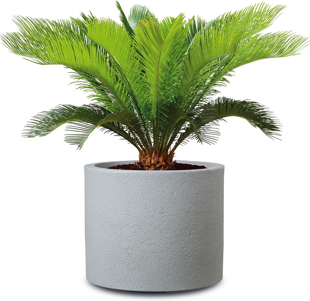 Scheurich Pflanzgefäß Riva (Stony Grey, Ø 50 cm)