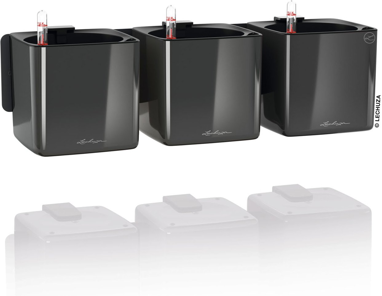 Lechuza Green Wall Home Kit (anthrazit hochglanz)