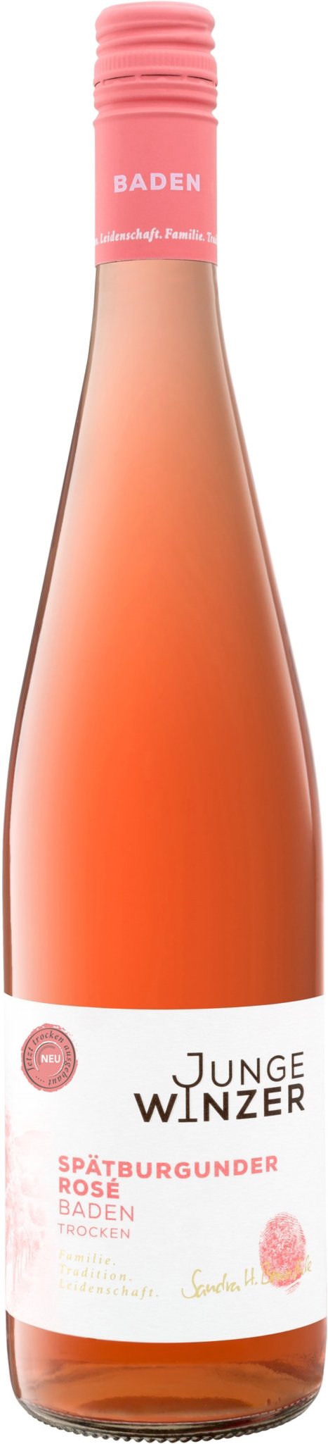Junge Winzer Spätburgunder Rosé Baden QbA trocken, Roséwein