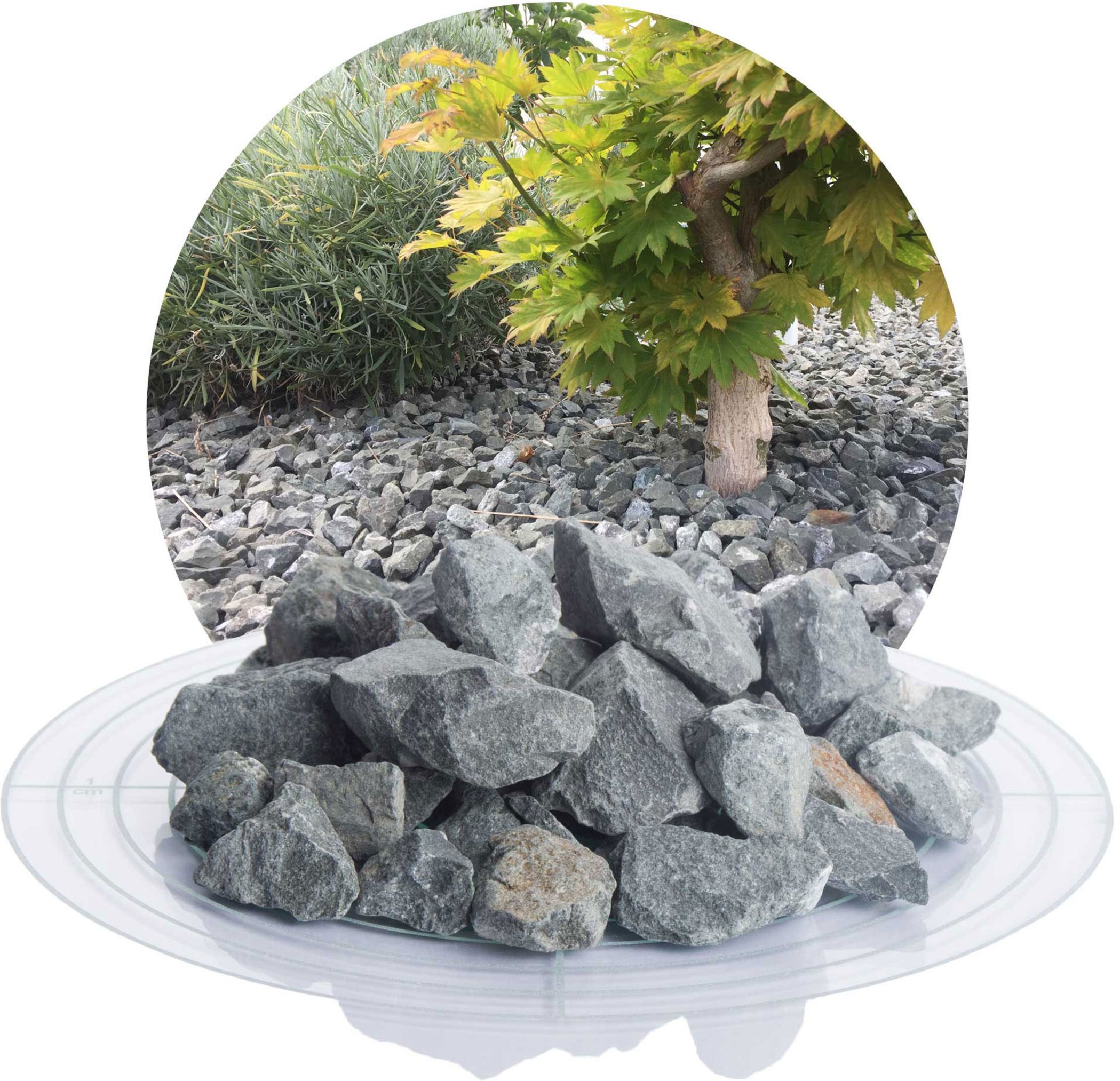 Schicker Mineral Diabas Ziersplitt (16-32 mm, 25 kg, Grau)