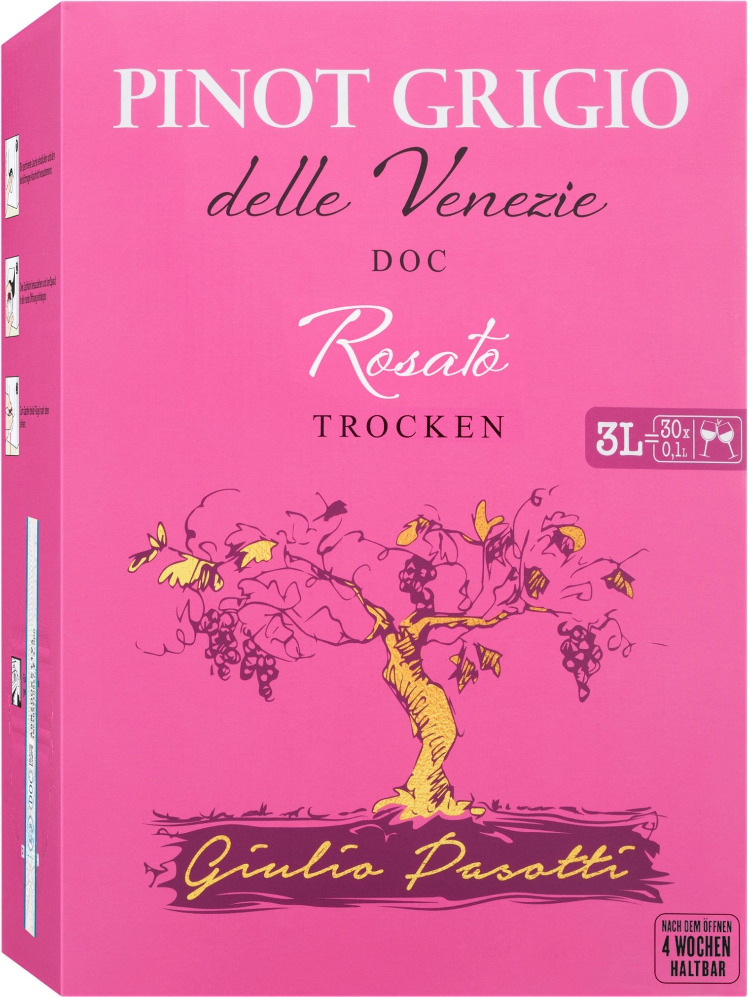 Giulio Pasotti Pinot Grigio delle Venezie Rosato DOC trocken, Roséwein 2024