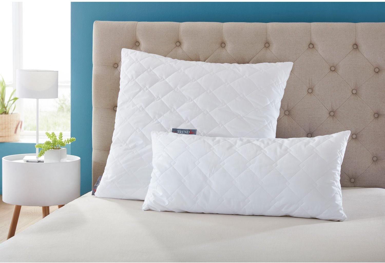 BADENIA TRENDLINE Kopfkissen TENCEL™ (80x80 cm)