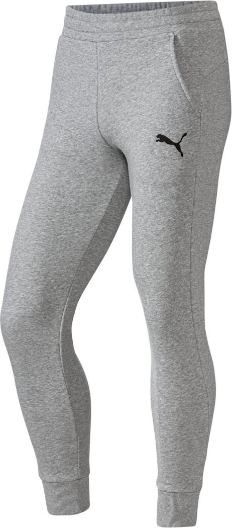 Puma Herren Sweathose teamGoal (Grau, L)