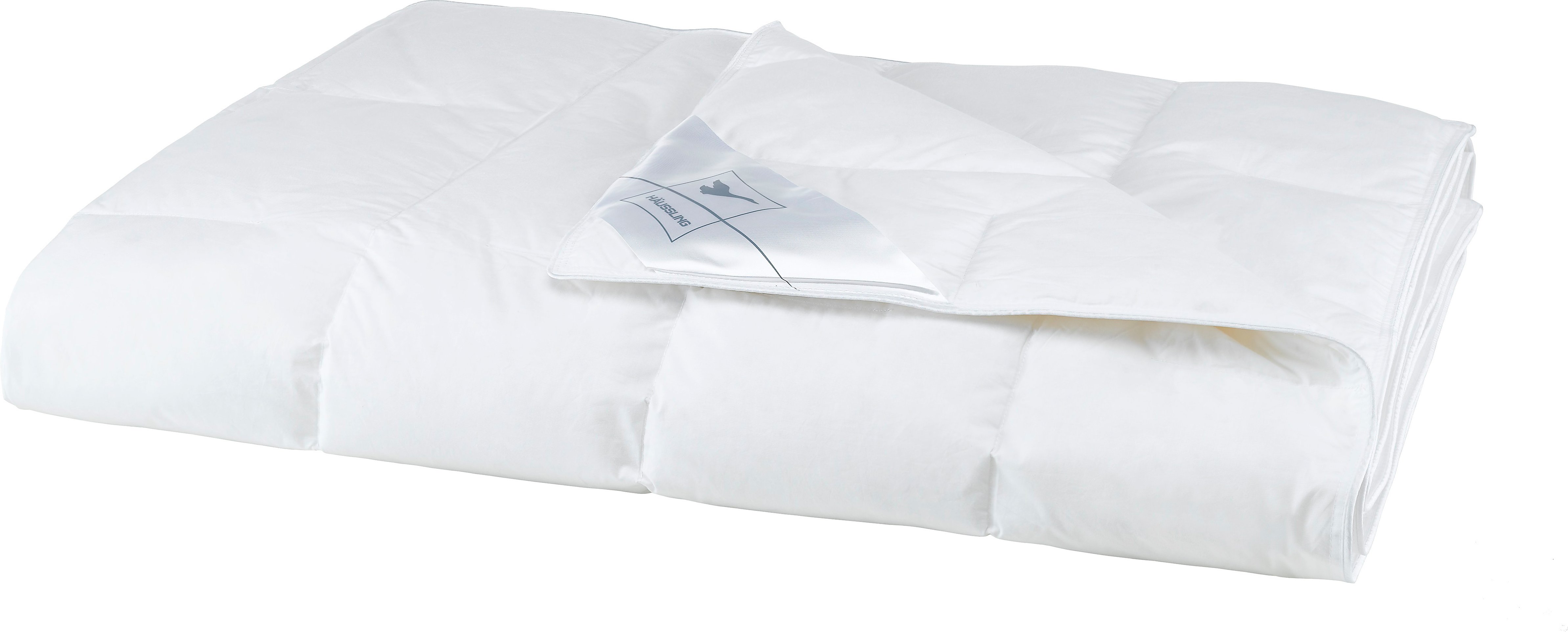 HÄUSSLING Dauneneinzieh-/Sommerdaune, 200 x 220 cm (200 x 220 cm)