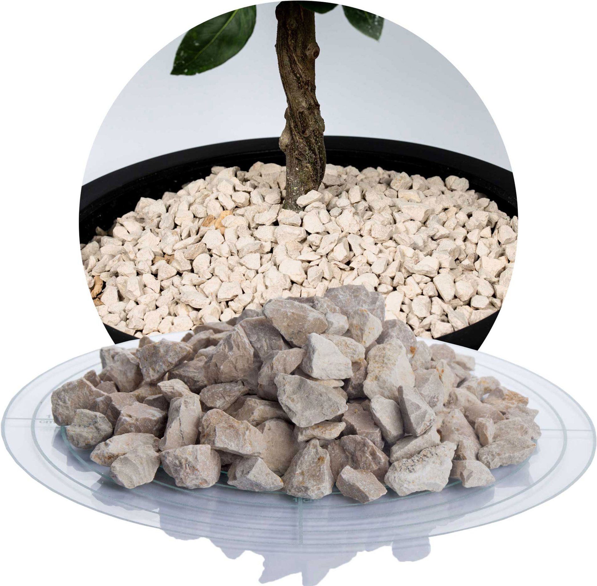 Schicker Mineral Kalk Ziersplitt (8-16 mm, 25 kg, Beige)