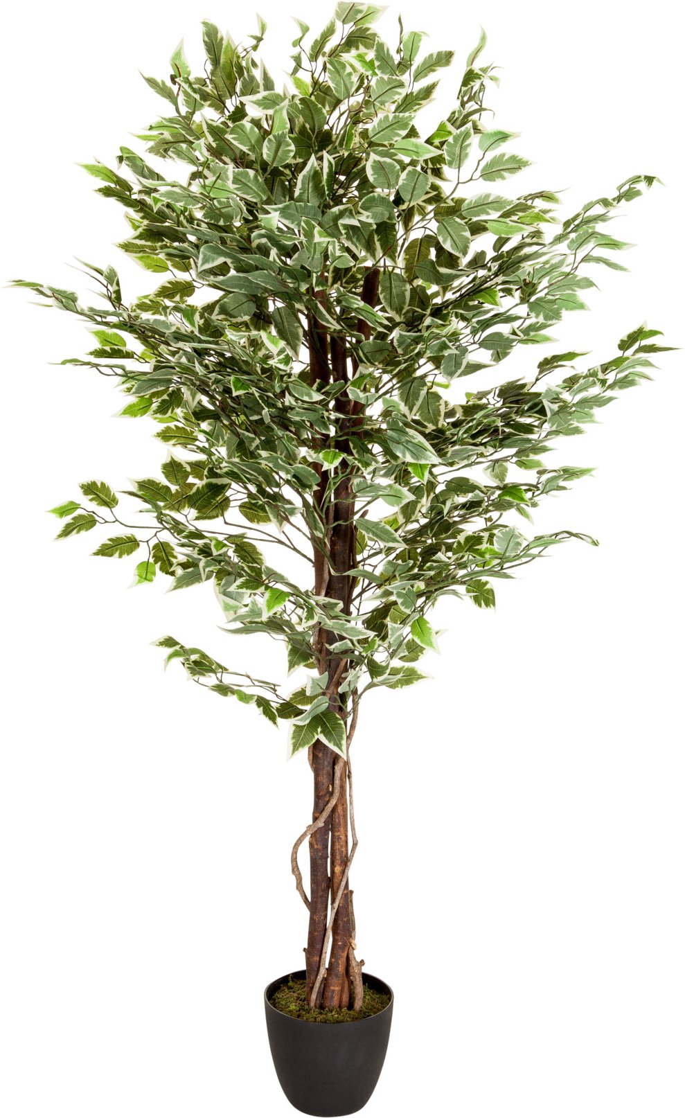 hjh OFFICE Kunstpflanze / Kunstbaum FICUS Kunststoff