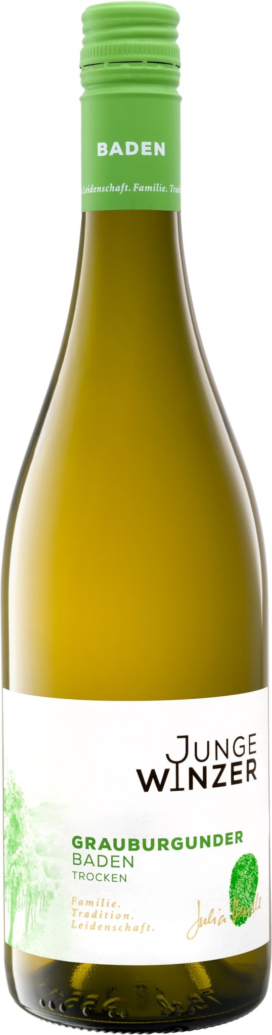Junge Winzer Grauburgunder Baden QbA trocken, Weißwein 2024