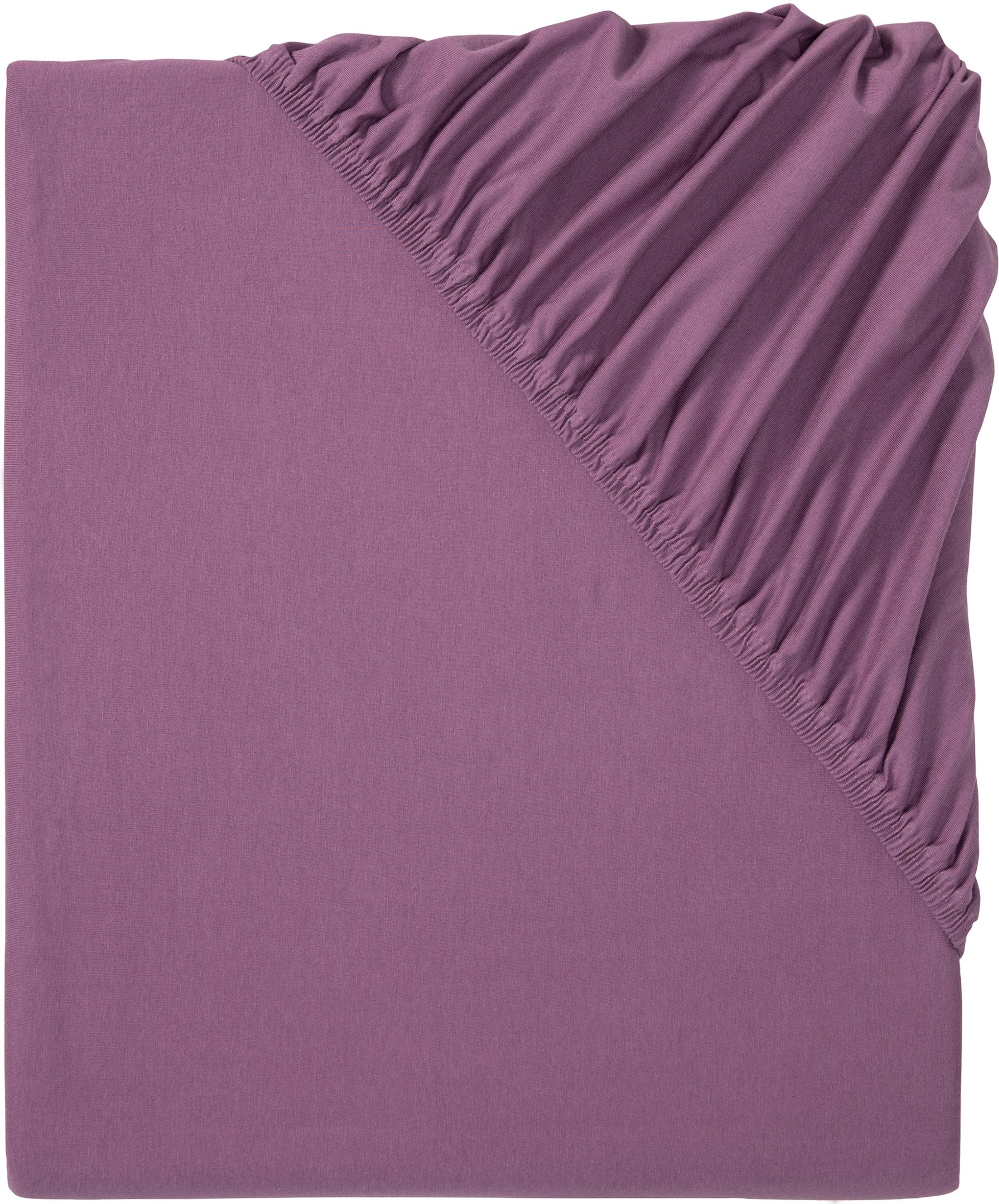 LIVARNO home Spannbettlaken Bi-Elastic Jersey, 180-200 cm (Lila)