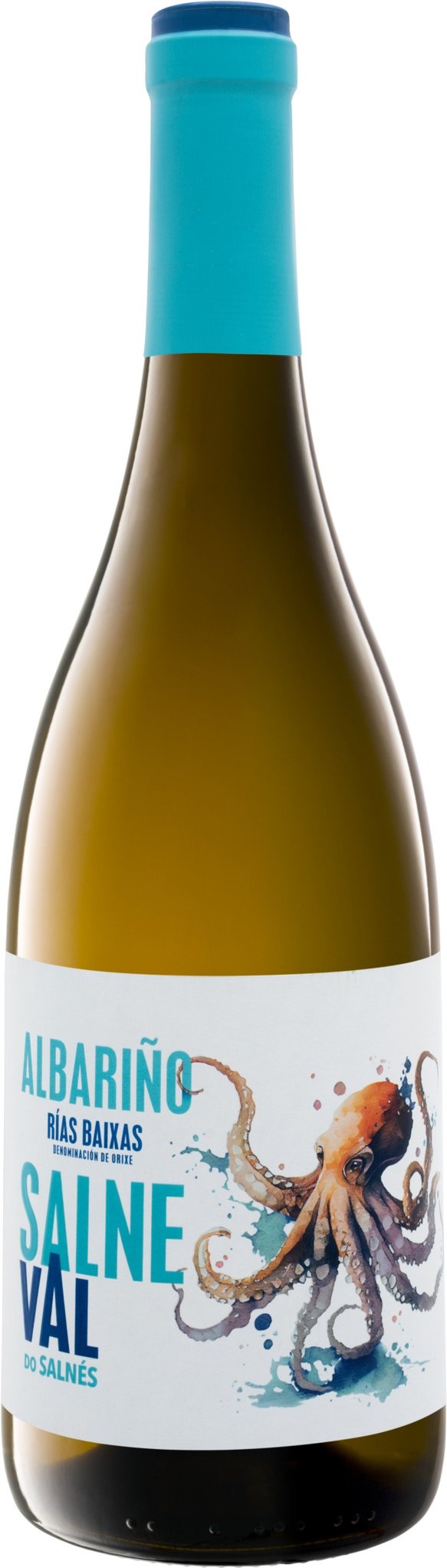 Salneval Rías Baixas Albarino DO trocken, Weißwein 2024