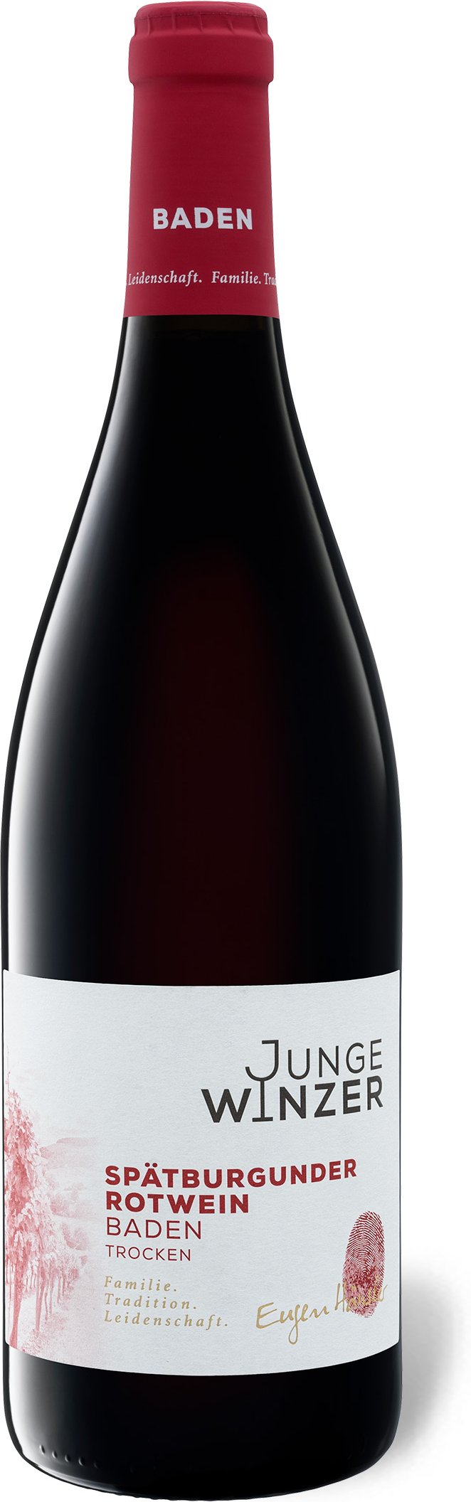 Junge Winzer Spätburgunder Baden QbA trocken, Rotwein 2020
