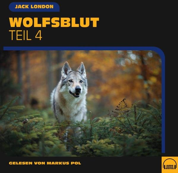 Wolfsblut 4