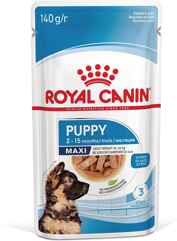Royal Canin Maxi Puppy in Soße - 10 x 140 g