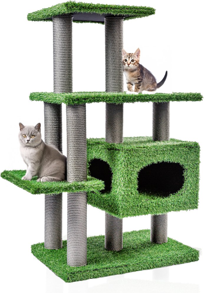 Canadian Cat Company Kratzbaum Parker - grün