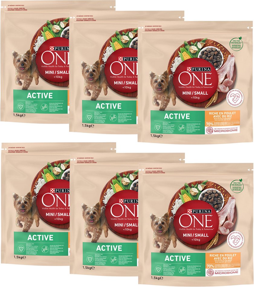 PURINA ONE Mini Active Huhn & Reis - 9 kg (6 x 1,5 kg)