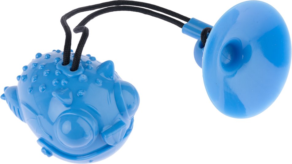 TIAKI Intelligenzspielzeug Drache mit Saugnapf - L 12 x B 9 x H 8 cm