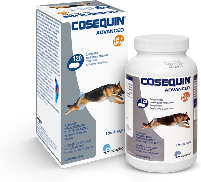 Cosequin Advance Hund - 120 Tabletten